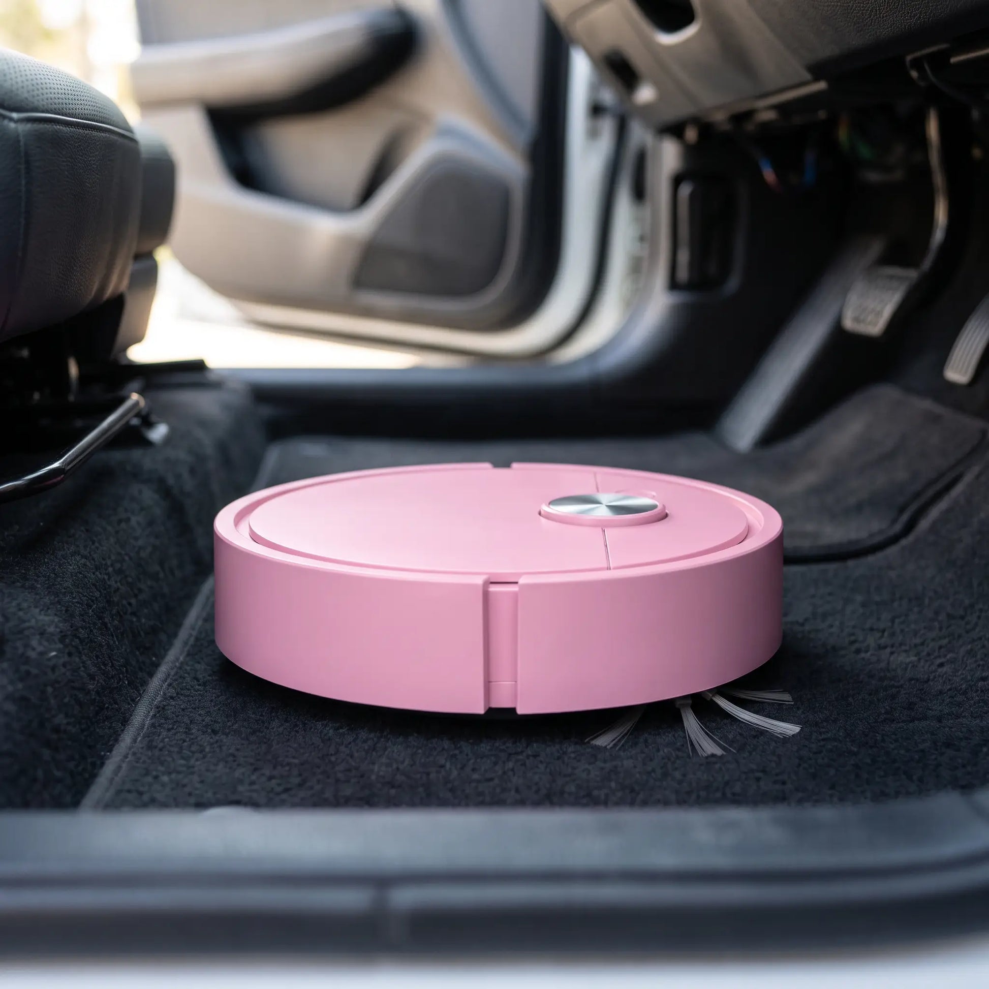HorseVac One in the passenger footwell