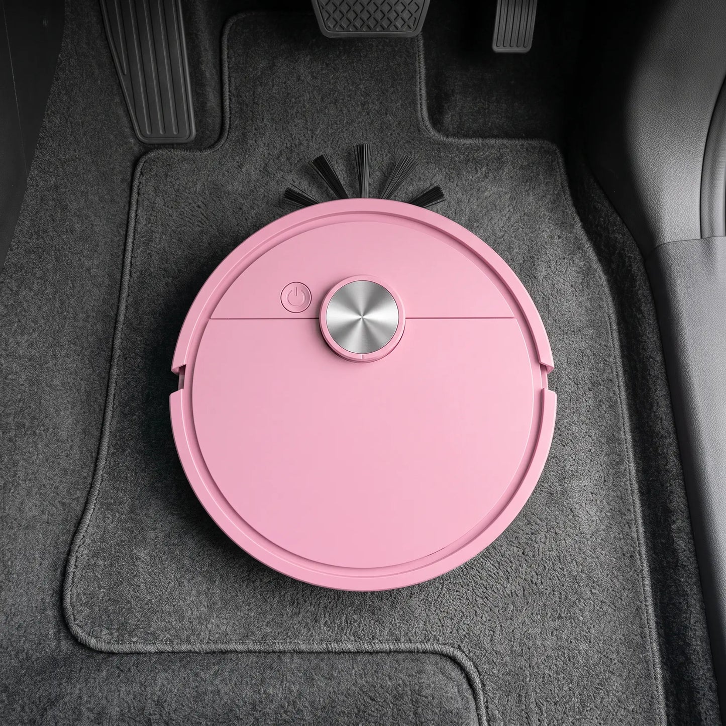 HorseVac One seen from above on the driver side mat