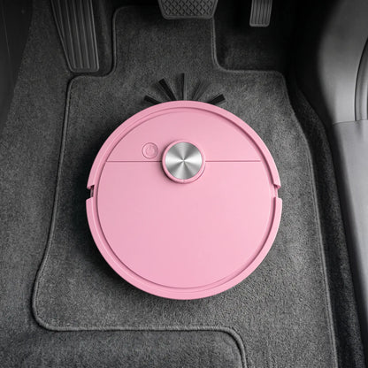 HorseVac One seen from above on the driver side mat